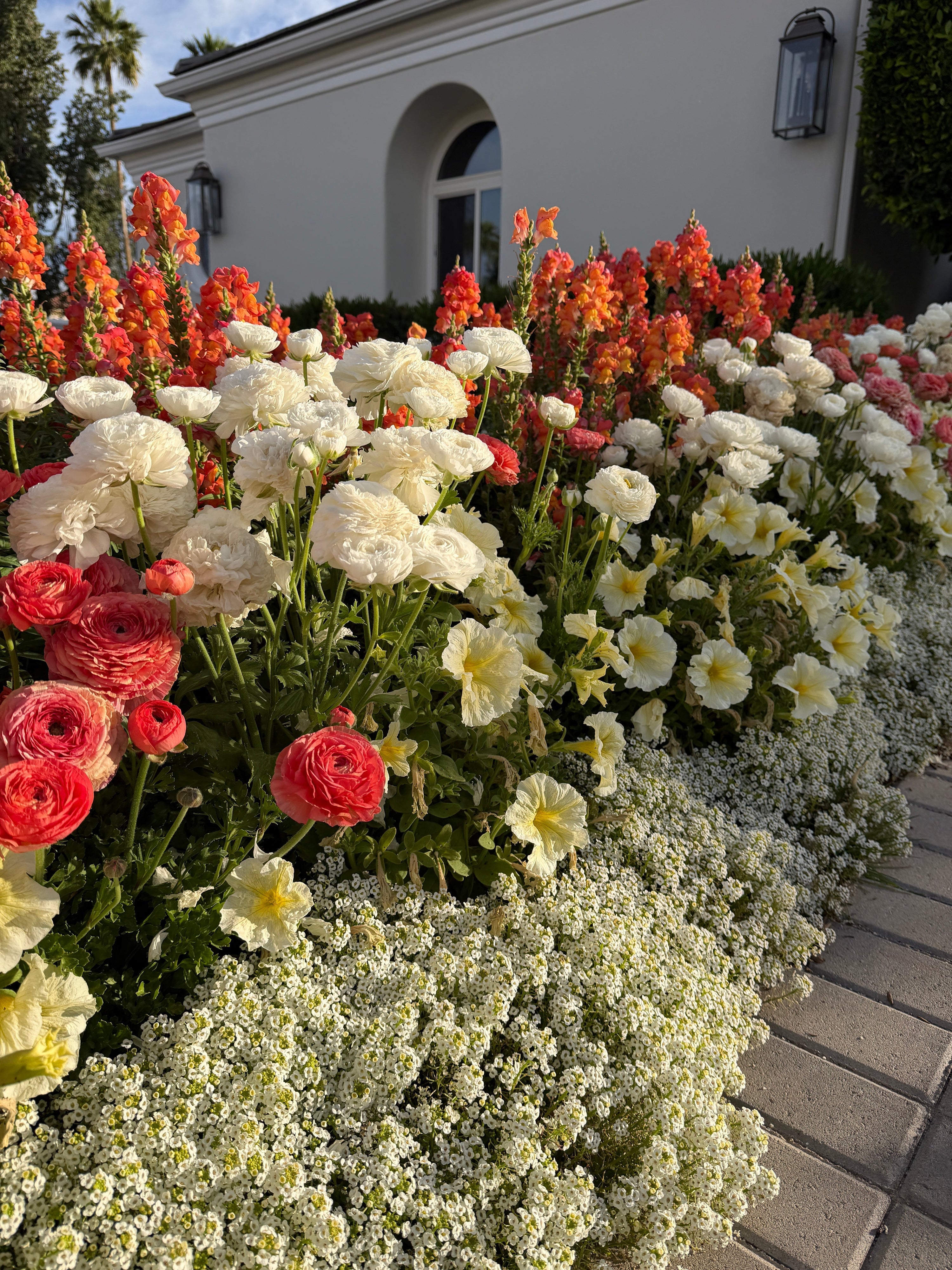 Arizona Gardening: A Complete Guide to Growing Flowers in the Desert