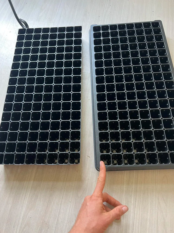 Indoor Seed Starting