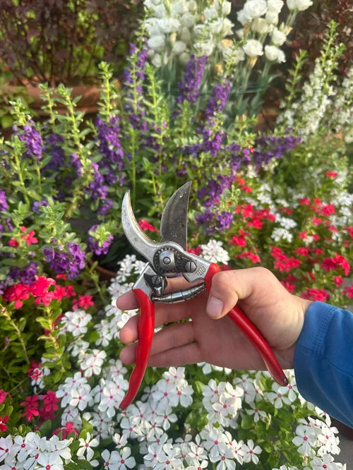 Favorite Amazon Garden Items