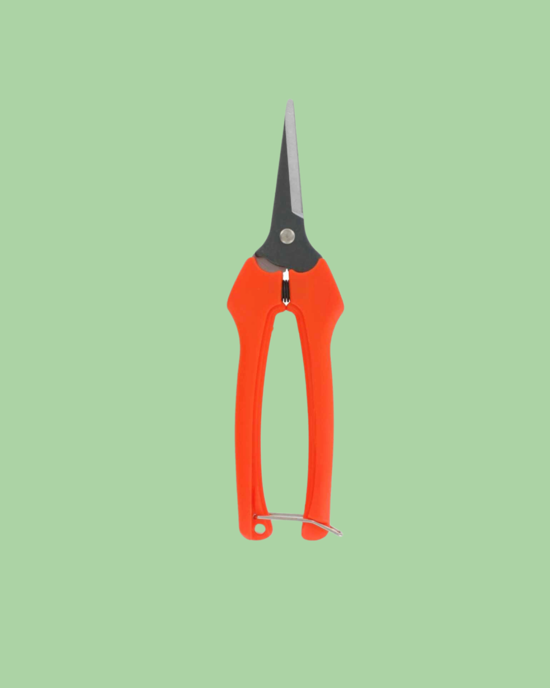 Harvesting Pruning Shears | 185 mm