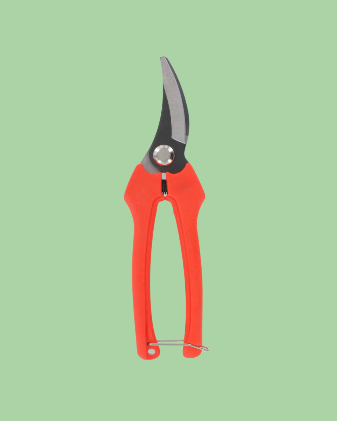 Harvesting Pruning Shears | 185 mm