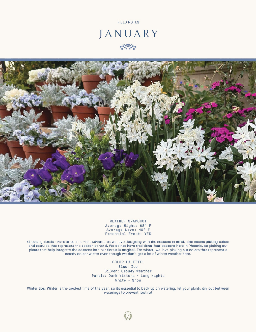 Garden Design Guide (Digital Download)