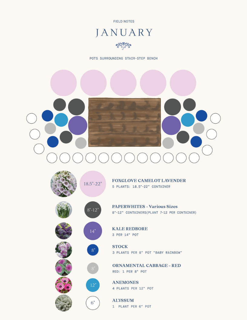 Garden Design Guide (Digital Download)