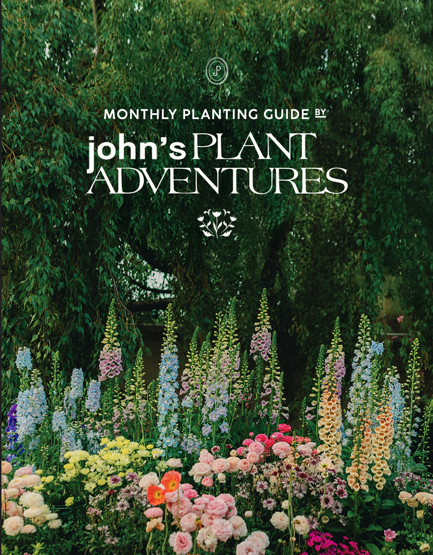 Monthly Growing Guide zone 9b (Digital Download)
