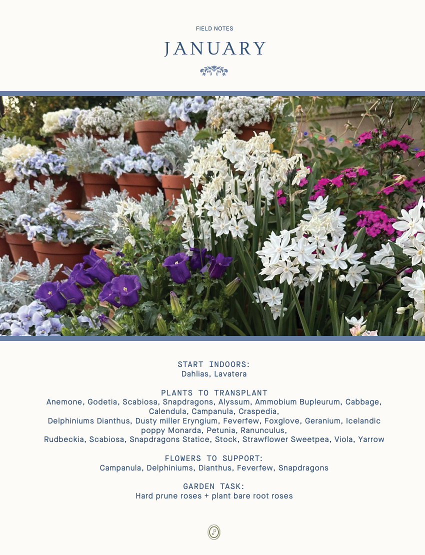 Monthly Growing Guide zone 9b (Digital Download)