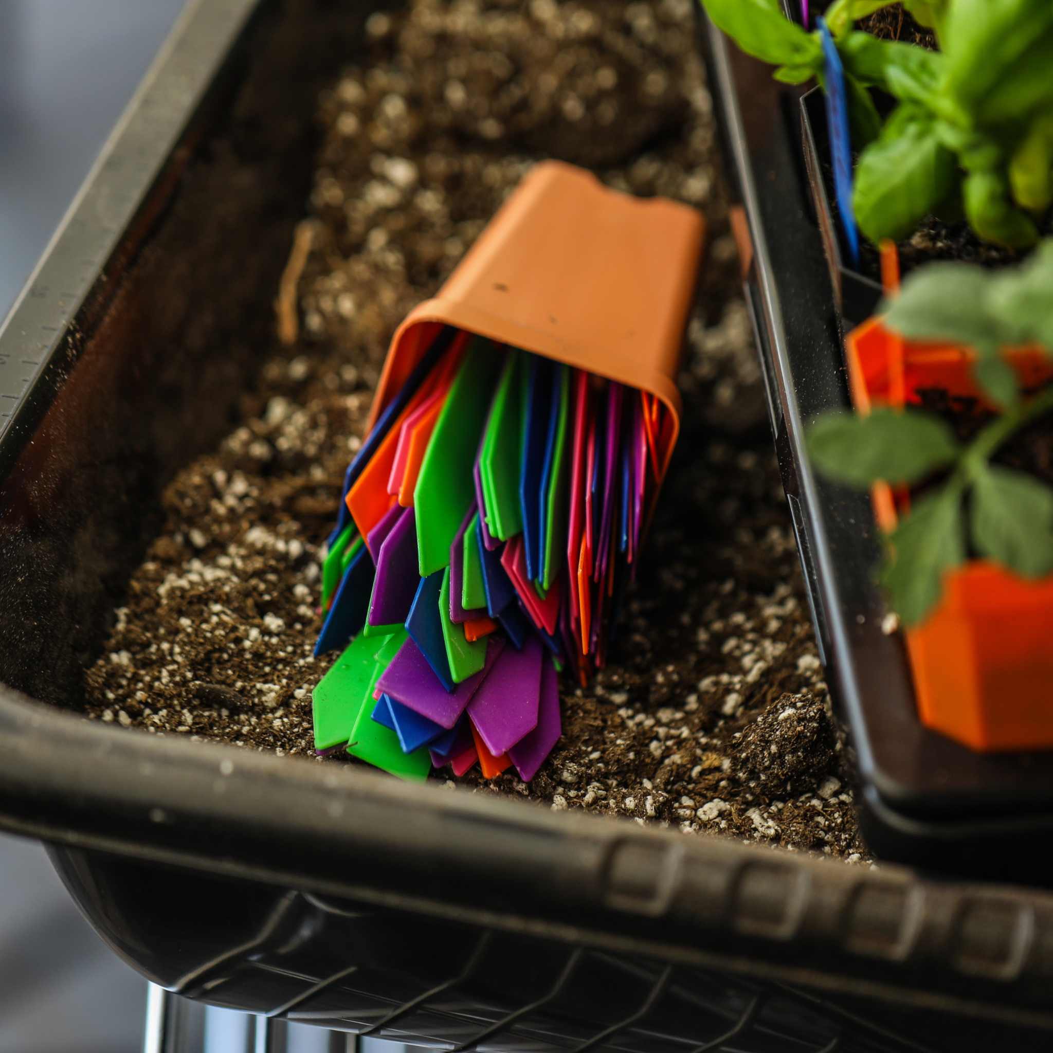 Multi-color Plant Labels | 100 count
