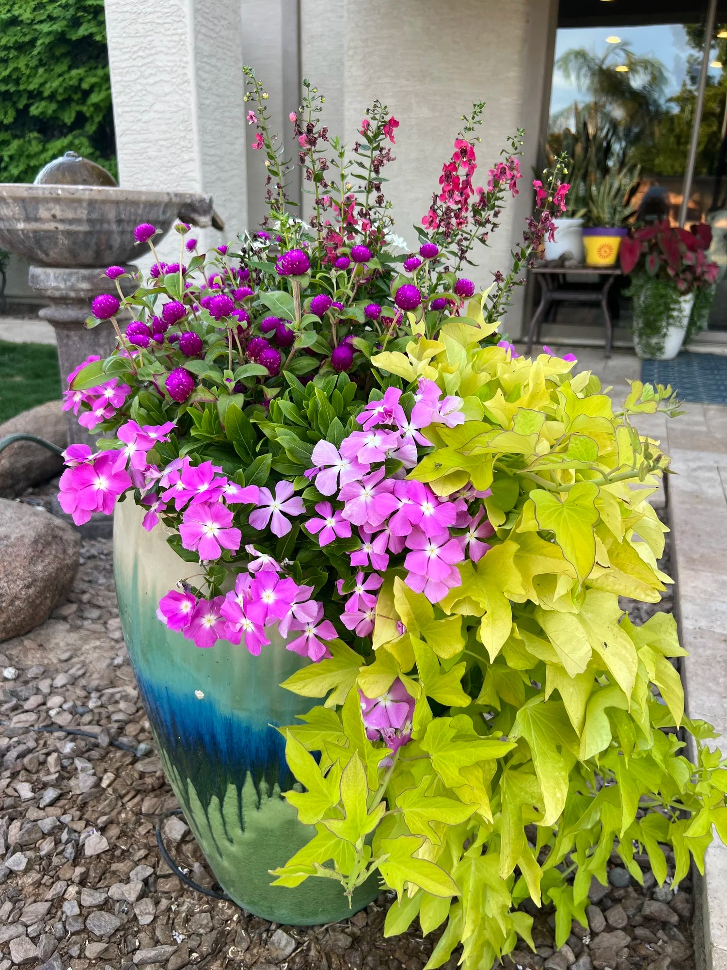 Garden Consultation