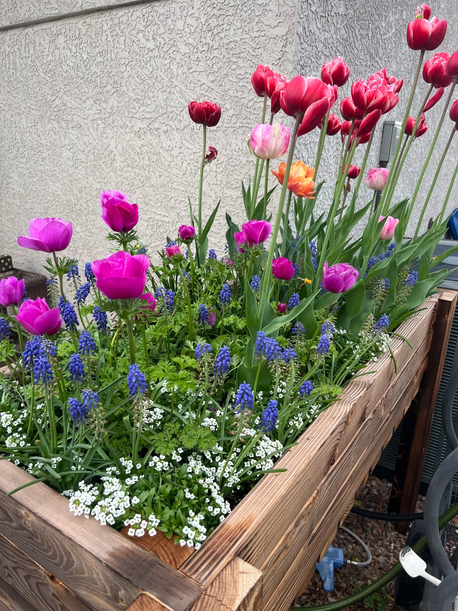 Garden Consultation